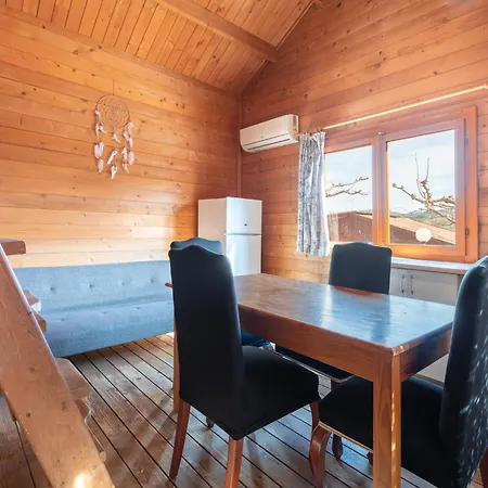 Falaguera Barraca 2 * Bárig