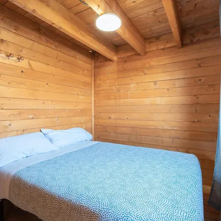 Falaguera Barraca 2 * Bárig