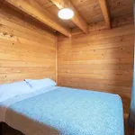 Falaguera Barraca 2 * Bárig