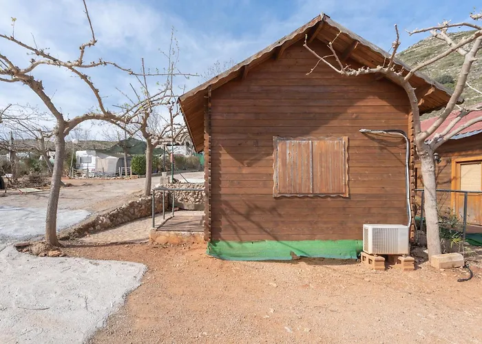 Falaguera Barraca 2 * Bárig