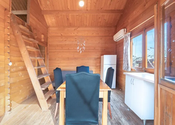 Falaguera Barraca 2 Bárig