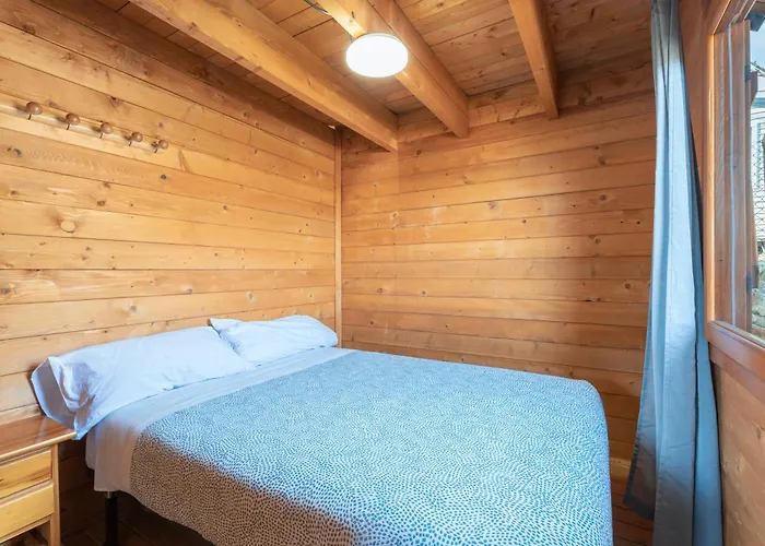 Falaguera Barraca 2 * Bárig